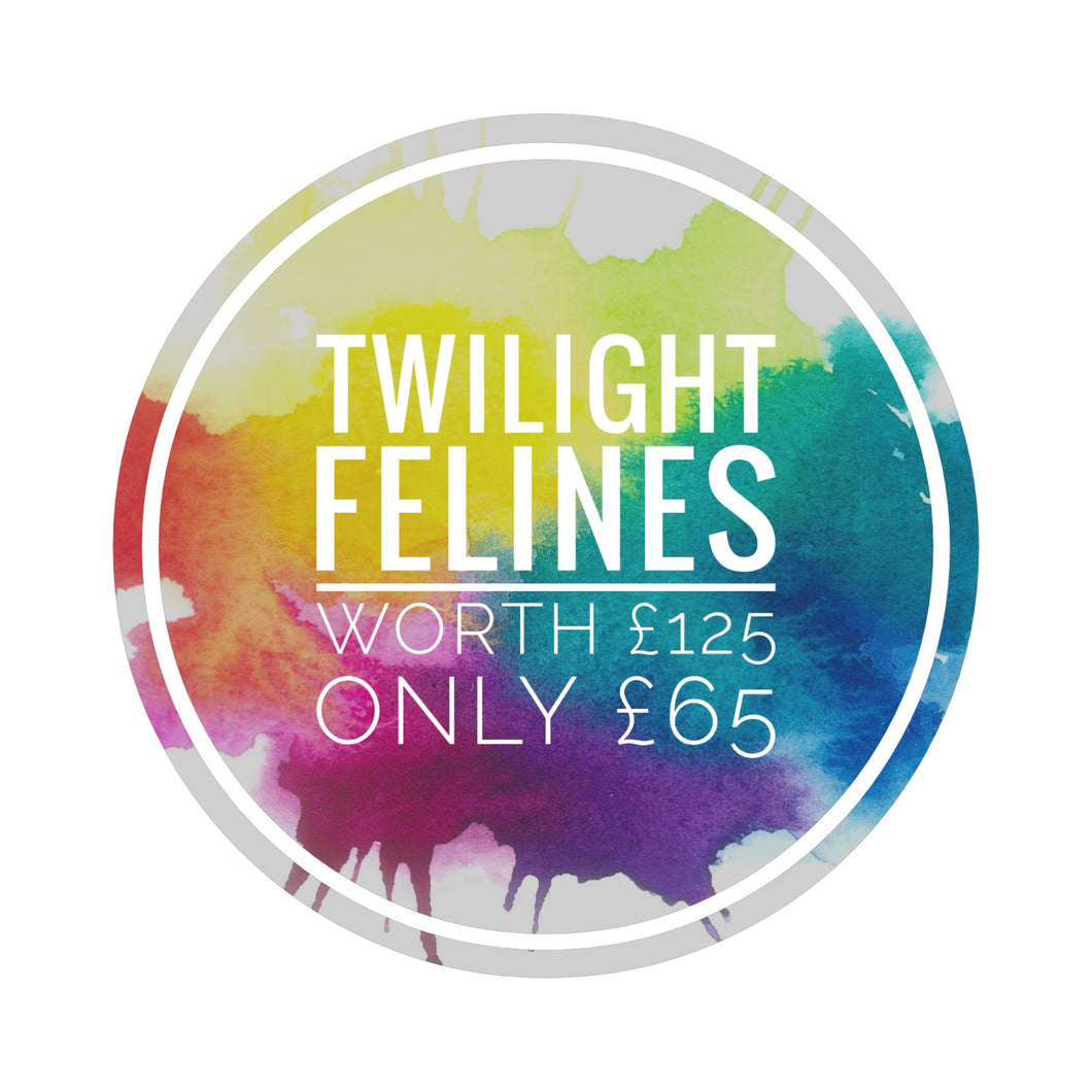 Twilight Felines mystery box