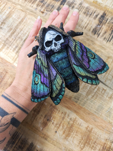 Deathhead moth art