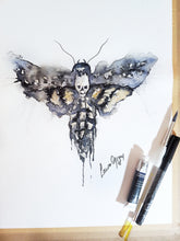 Death Head Moth Mug