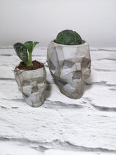 Concrete geometric skull planters, plant pot
