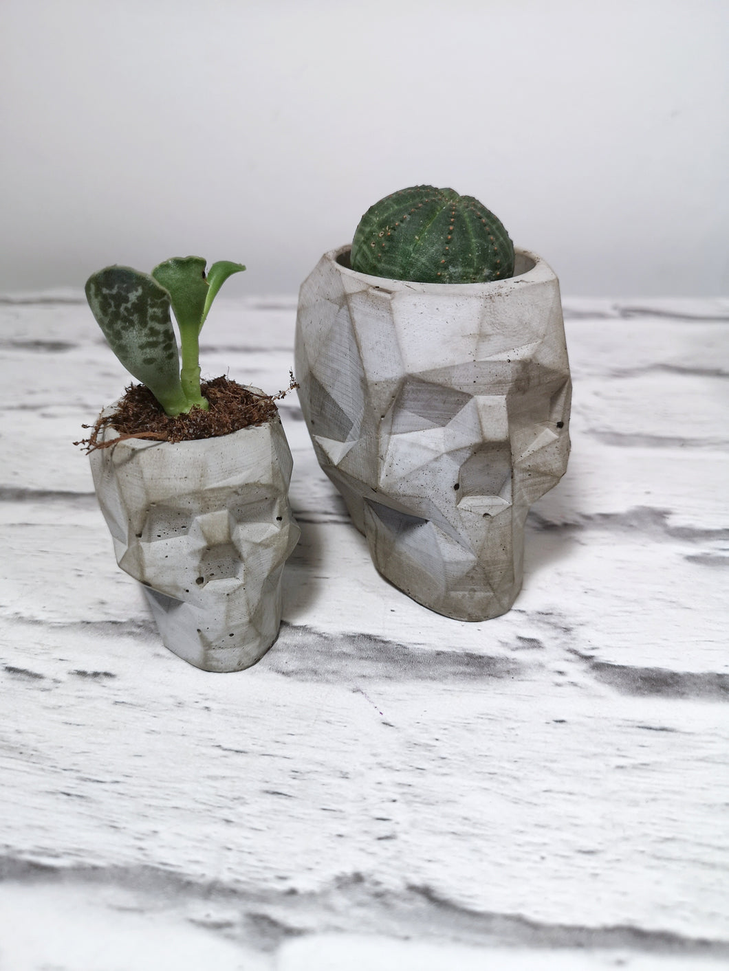 Concrete geometric skull planters, plant pot