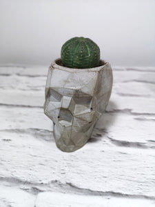 Concrete geometric skull planters, plant pot