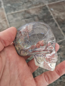 Solid resin skull