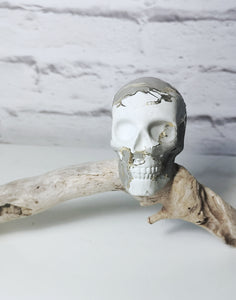 skull with gold leaf 