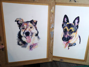 Pet Portrait Watercolour Original