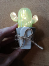 Cactus LED Light Gift