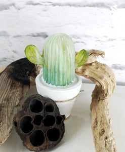 Cactus LED Light Gift