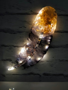 Resin Feather Wall Art Light