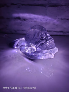 Hand and Skull Resin LED Light