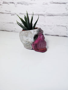 Concrete and resin skull planter large or candle holder