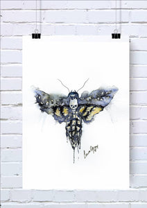 Moth Watercolour Art Print