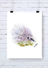 Hedgehog Watercolour Art Print