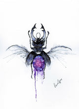 watercolour beetle