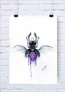 Unframed Beetle Print
