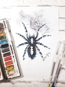 Spider watercolour art print