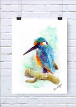 Kingfisher Watercolour Wall Art Print