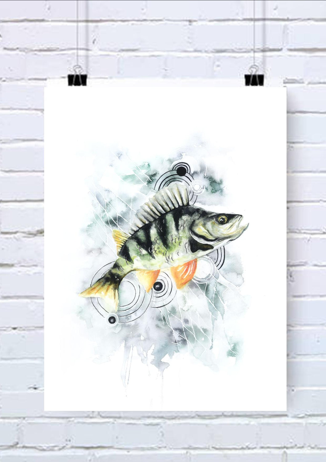 Perch Fish Watercolour Wall Art Print