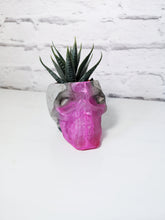 Concrete and resin skull planter large or candle holder