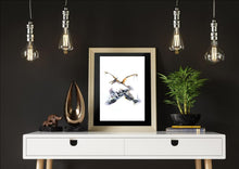 Pterodactyl Dinosaur Reflection Watercolour Wall Art Print