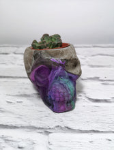 Concrete and resin skull planter large or candle holder