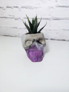 Concrete and resin skull planter large or candle holder