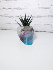 Concrete and resin skull planter large or candle holder